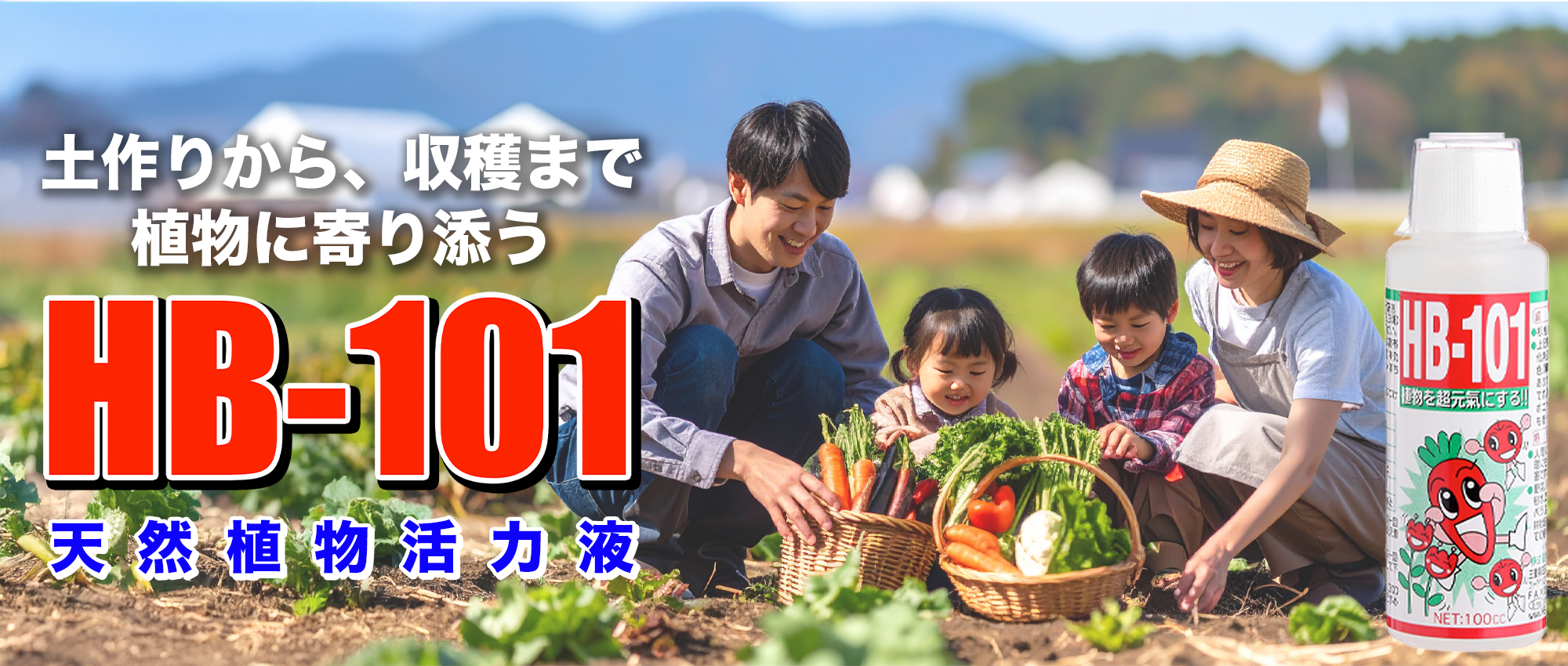 ヘッダー画像